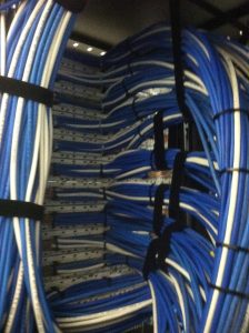 Neatly dressed blue and white network cables in a rack